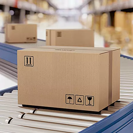 Digitalisierung in der Logistik führt zu mehr Nachhaltigkeit