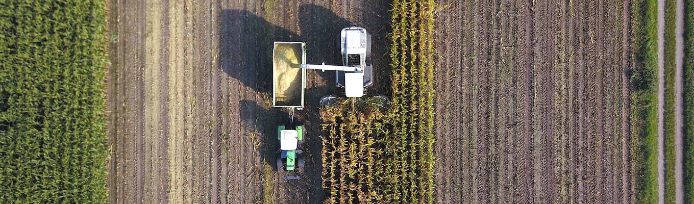 TRGS 529: So verbessern die neuen Regelungen die Betriebssicherheit von Biogasanlagen
